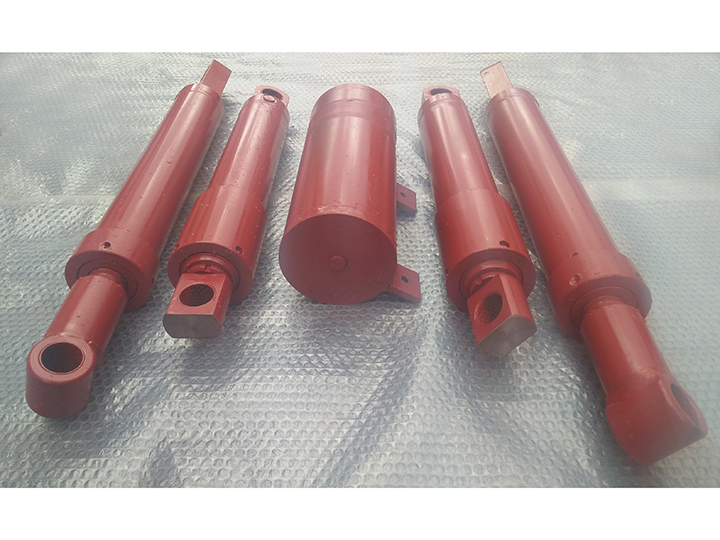 Cameroon stern plate hydraulic cylinder